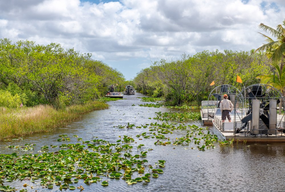 Plan a Vacation in Florida for 7 Days: Everglades