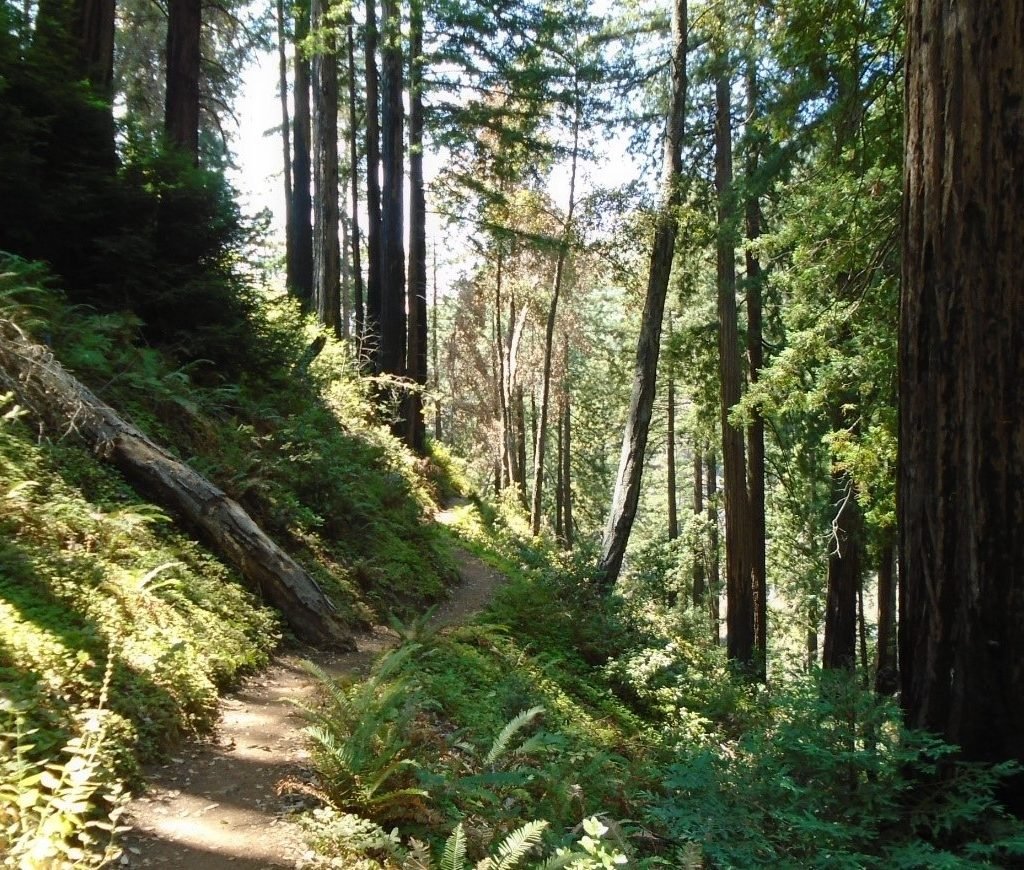 Best secret spots in Big Sur, California : Ewoldsen Trail