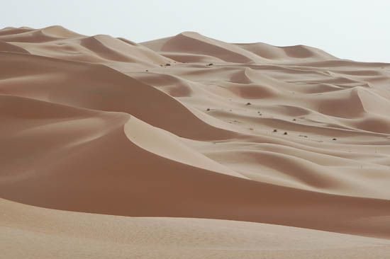 Sand Dunes 