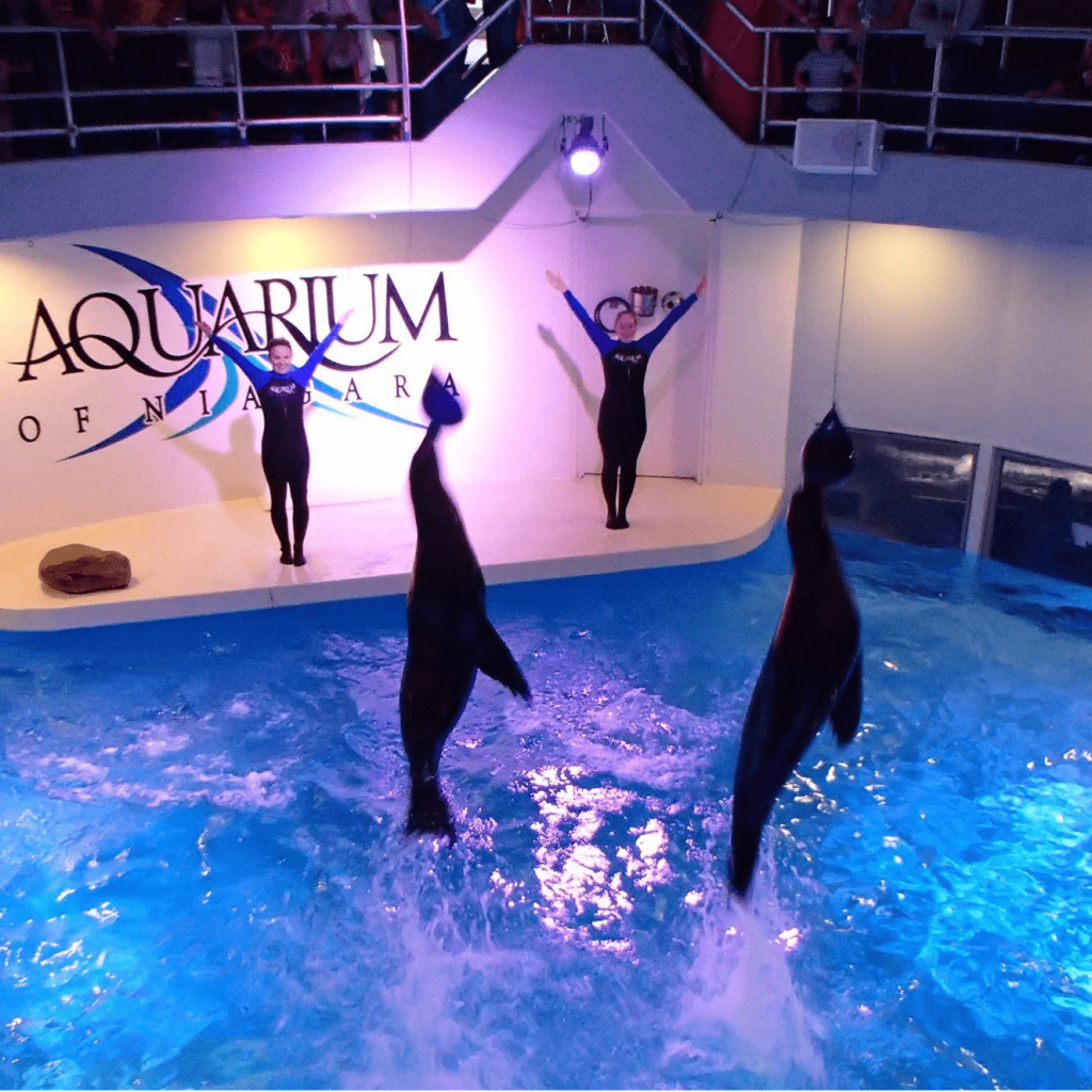 6. The Aquarium of Niagara :
