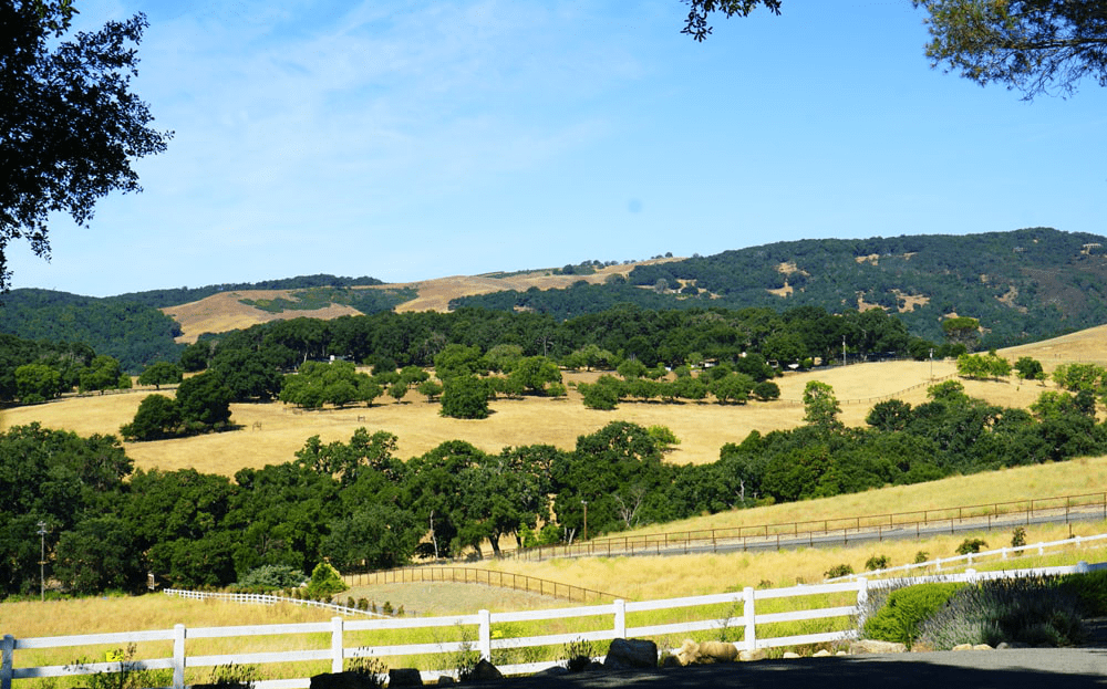 12. Paso Robles :