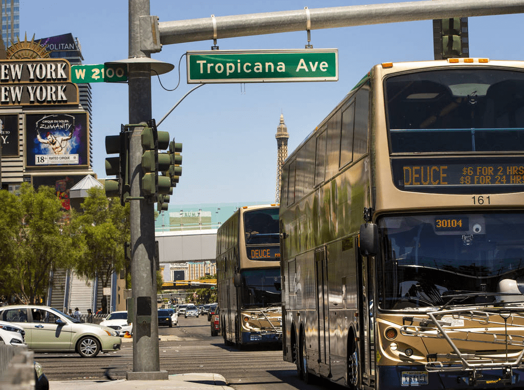 4. Take an affordable bus tour through Downtown :