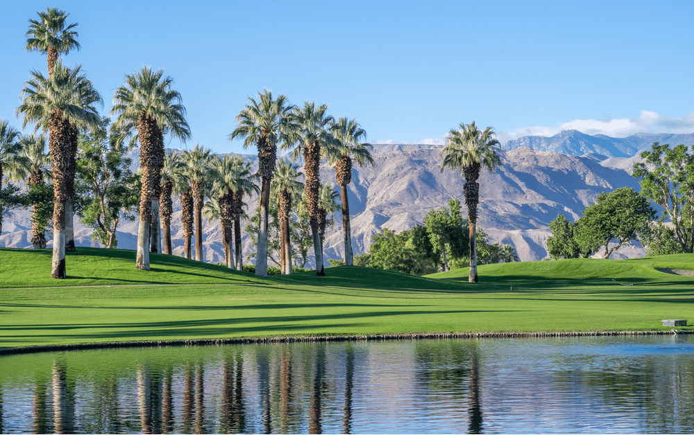 8. Palm Springs :