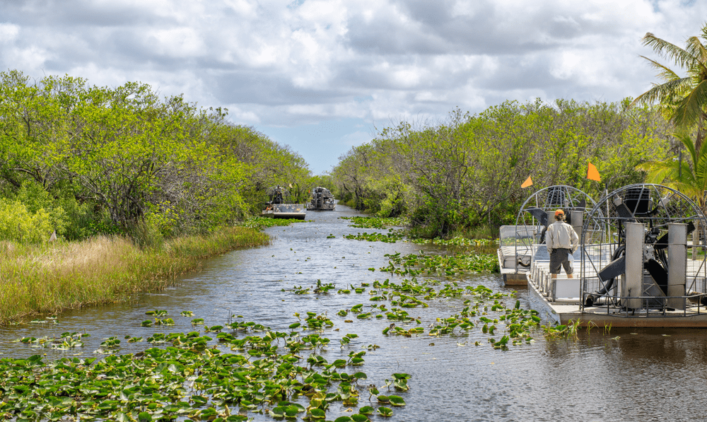 Everglades 