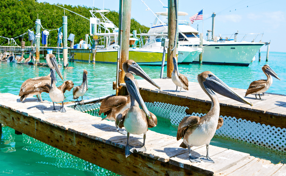 Best Places to Visit in Florida - Florida Keys