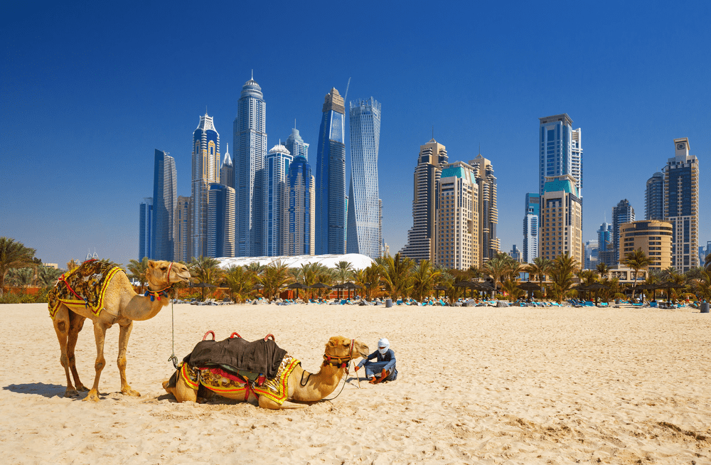 Why Dubai is so rich?