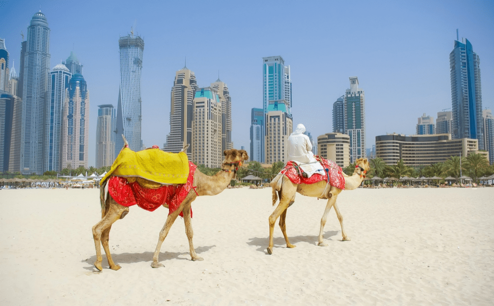 Where is Dubai-Camel Ride