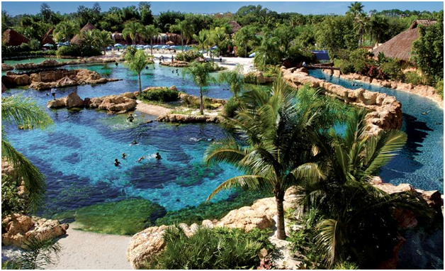 things to do in Discovery Cove, Florida