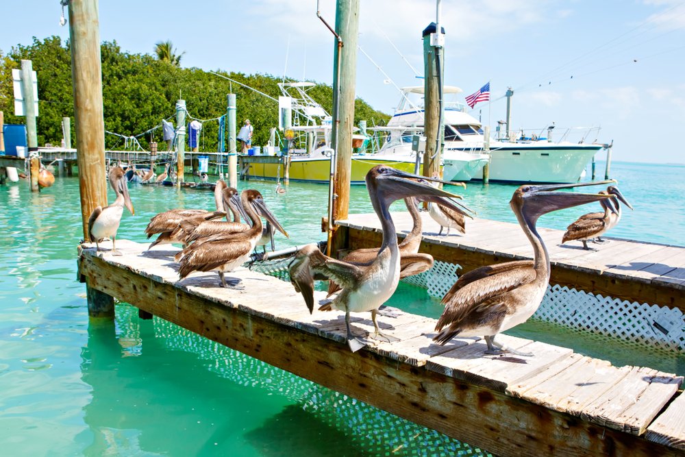  Some of the places less traveled in the USA , Islamorada, Florida in the USA