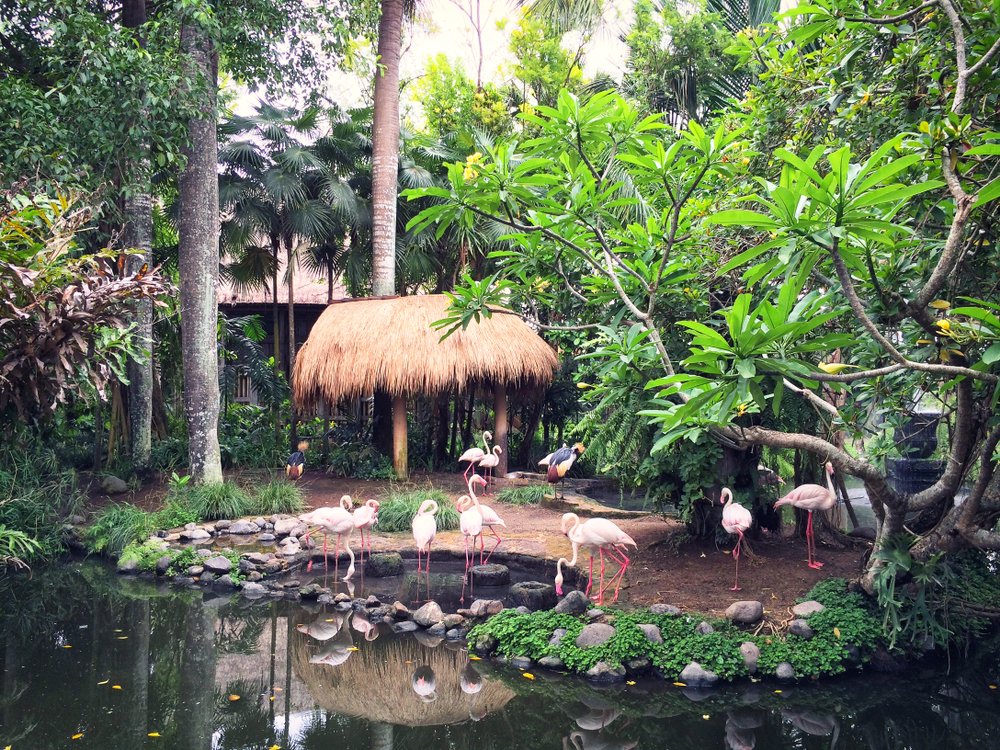 Plan a Vacation in Florida for 7 Days: Busch Gardens 