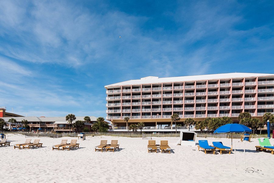 Budget hotels in Panama City, Florida : Osprey on the Gulf 