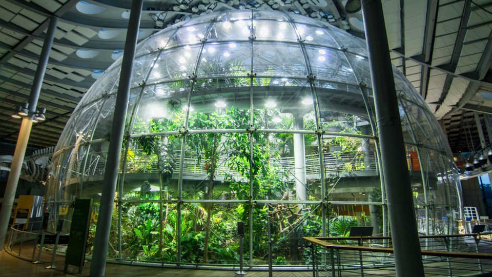 Best vacation places in San Francisco : California Academy of Sciences