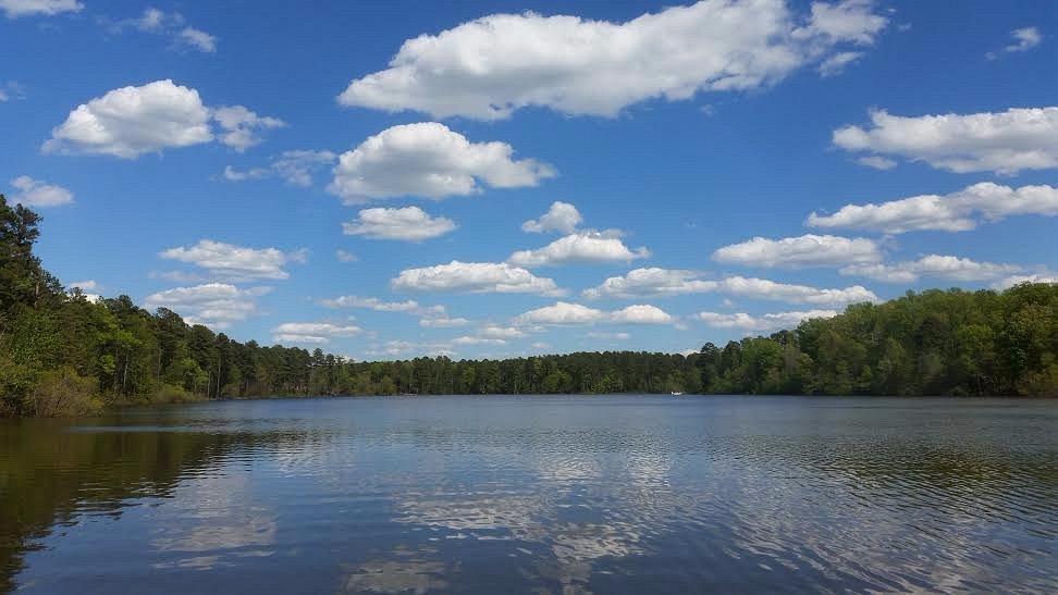Fun things to do in Asheboro, North Carolina : Jordan Lake Water Sports