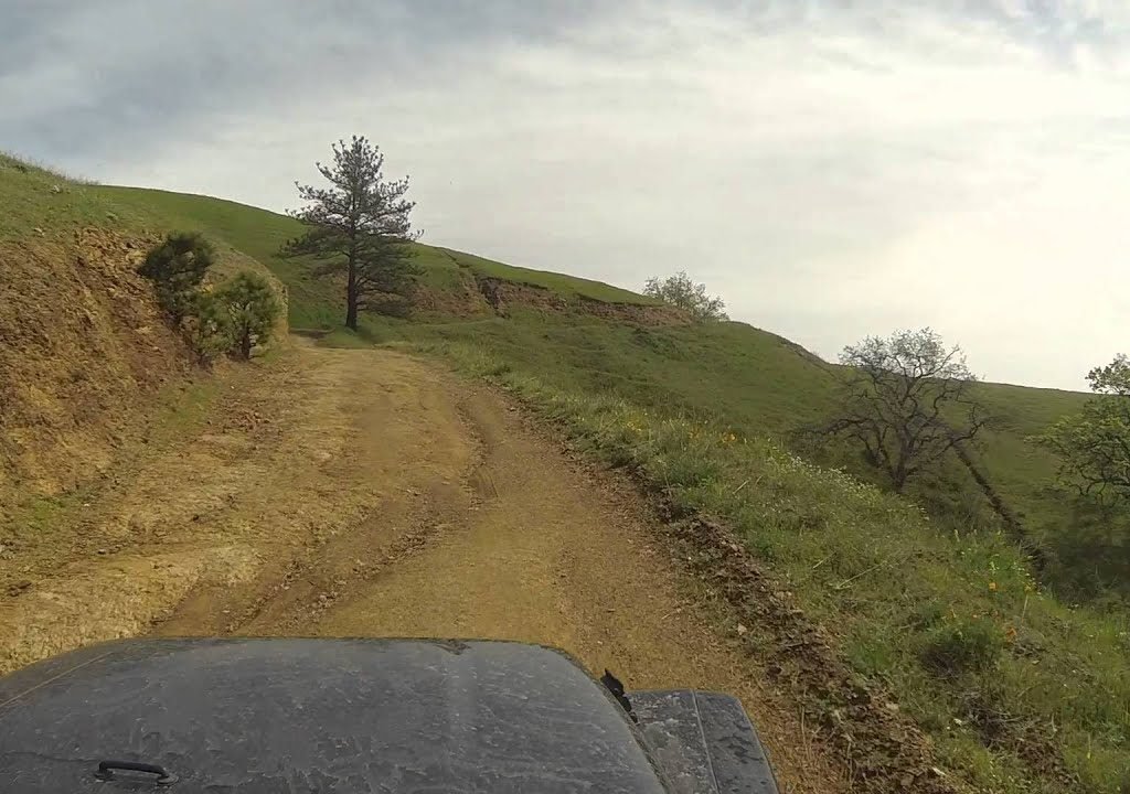 Best secret spots in Big Sur, California : Plaskett Creek Ridge