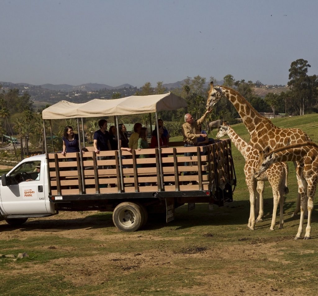 Visit the San Diego Zoo and Safari Park 